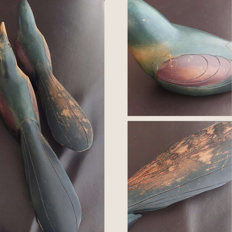 Red Billed Wood Hoopoe by Feathers of Knysna Limited Edition - Nr 222 &  Nr 217