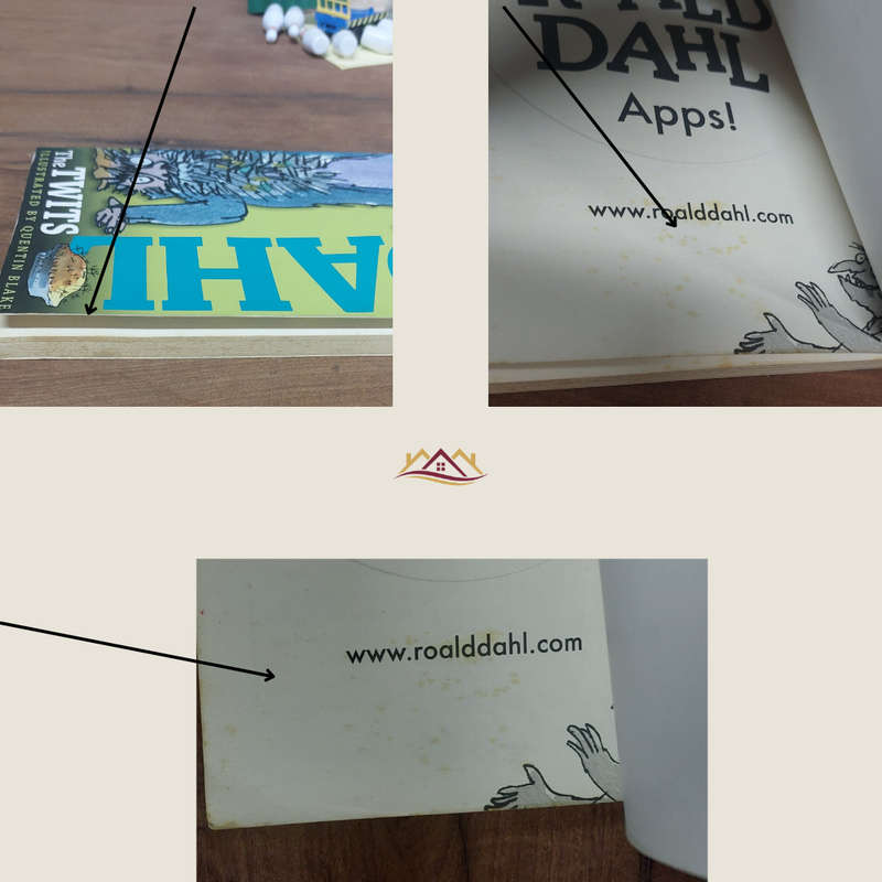 The Twits Author - Roald Dahl