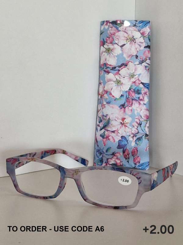 Goose the Brand Reading Glasses