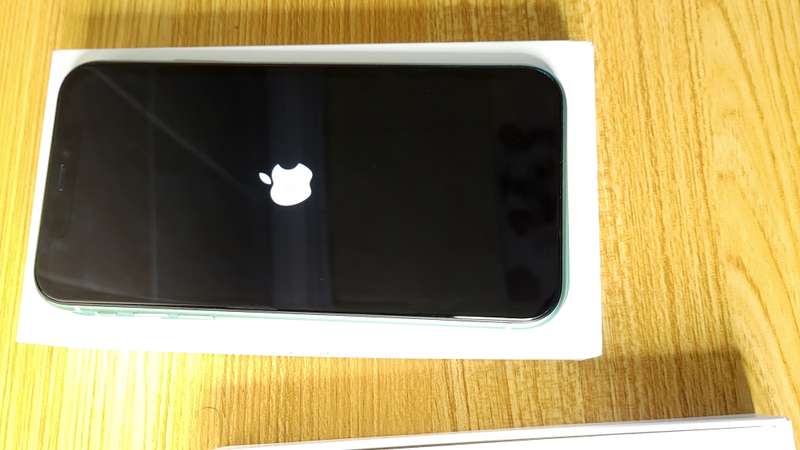 iPhone 11 | Green | 64GB | Pristine Condition | Boxed | Extras