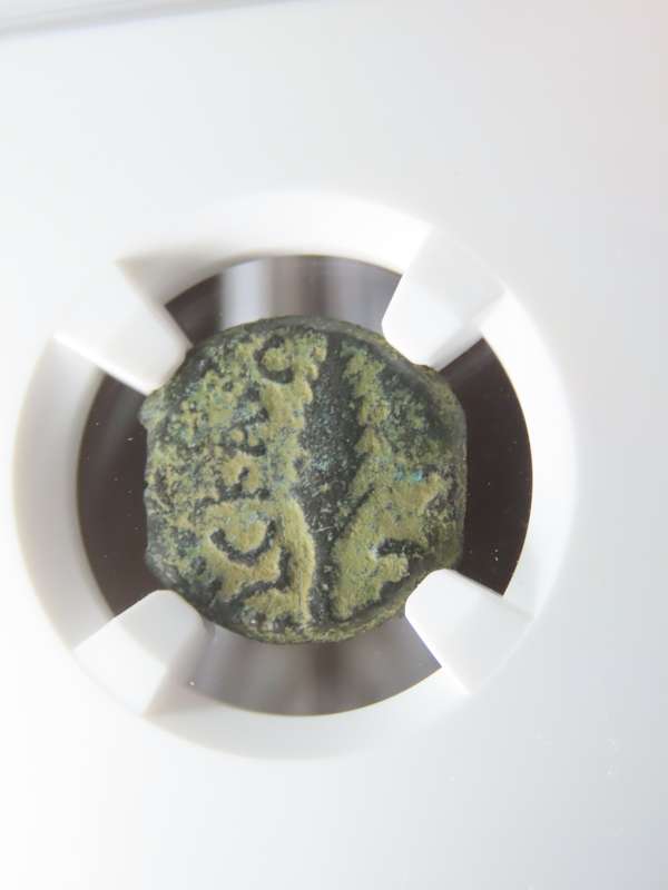 Ancient Judaea Prutah Coin, 59 - 62 AD, Governor Porcius Festus Under Nero, Coins of the Bible