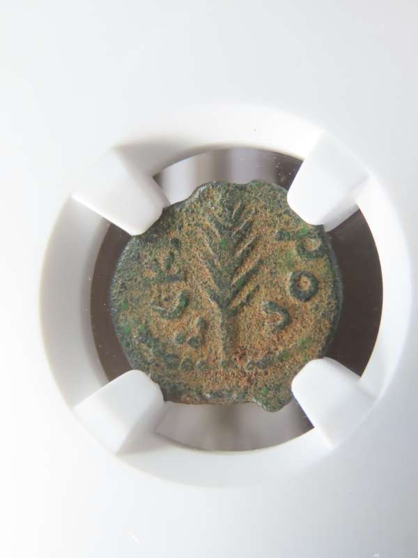 Ancient Judaea Prutah Coin, 59 - 62 AD, NGC F Governor Porcius Festus Under Nero Coins of the Bible