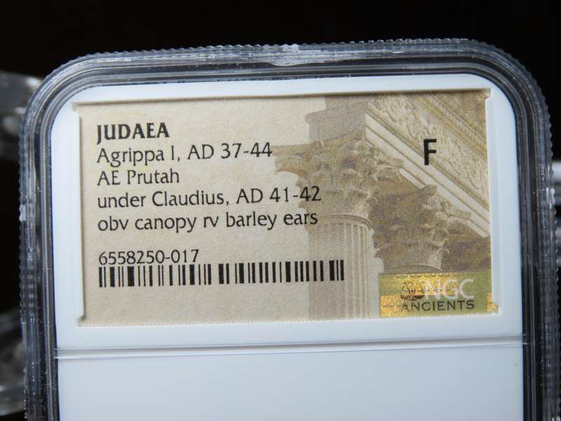 Ancient Judaea Prutah Coin, 37 - 44 AD, Governor Agrippa I Under Claudius, Coins of the Bible