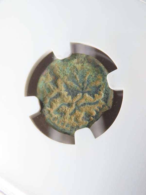 Ancient Judaea Prutah Coin, 66 to 70 AD NGC F, 1st Jewish Revolt