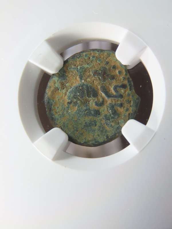 Ancient Judaea Prutah Coin, 66 to 70 AD NGC F, 1st Jewish Revolt