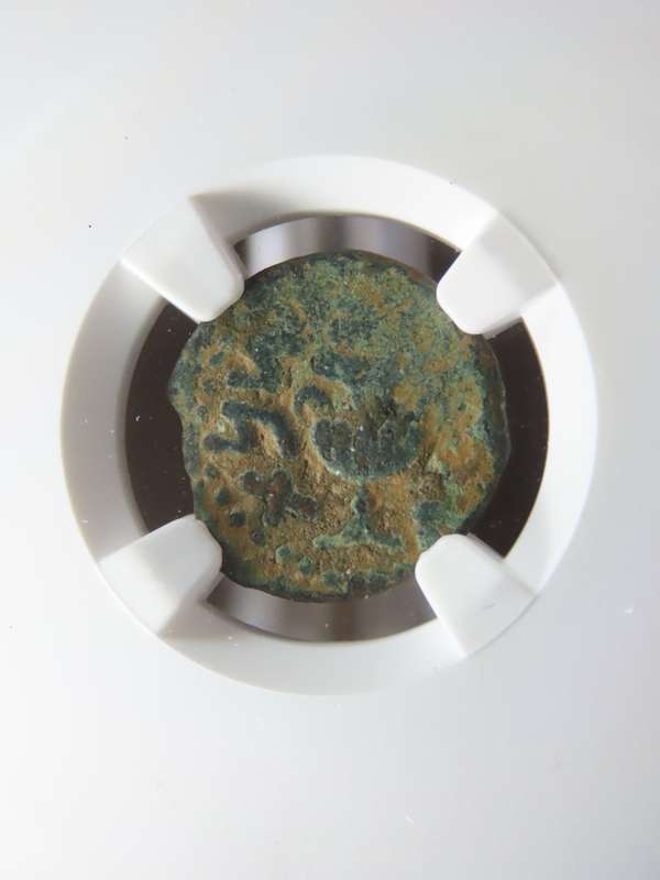 Ancient Judaea Prutah Coin, 66 to 70 AD NGC F, 1st Jewish Revolt