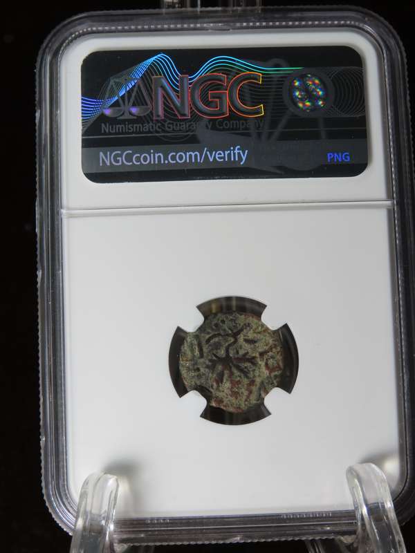 Ancient Judaea Prutah Coin, 66 to 70 AD NGC F, 1st Jewish Revolt