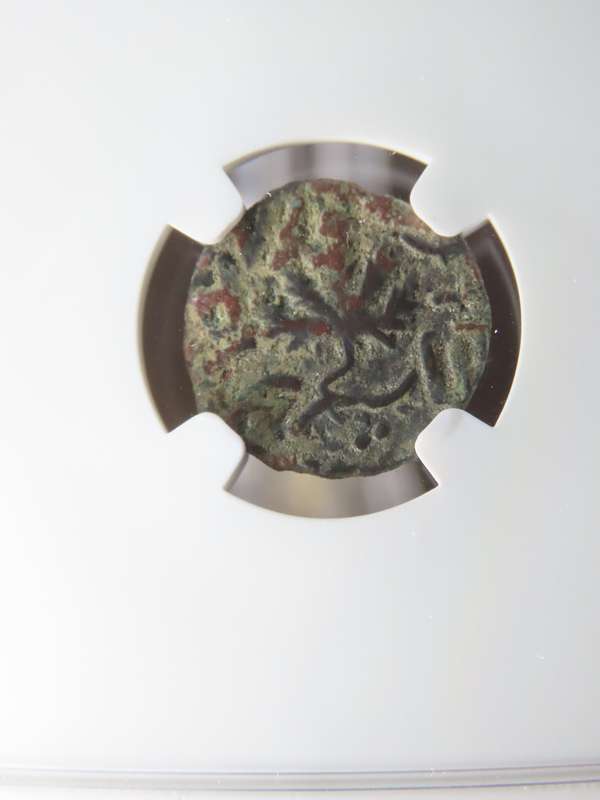 Ancient Judaea Prutah Coin, 66 to 70 AD NGC F, 1st Jewish Revolt