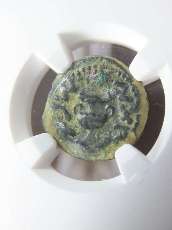 Ancient Judaea Prutah Coin, 66 to 70 AD NGC F, 1st Jewish Revolt