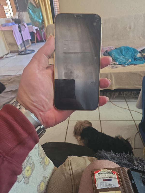 Iphone 12 pro max