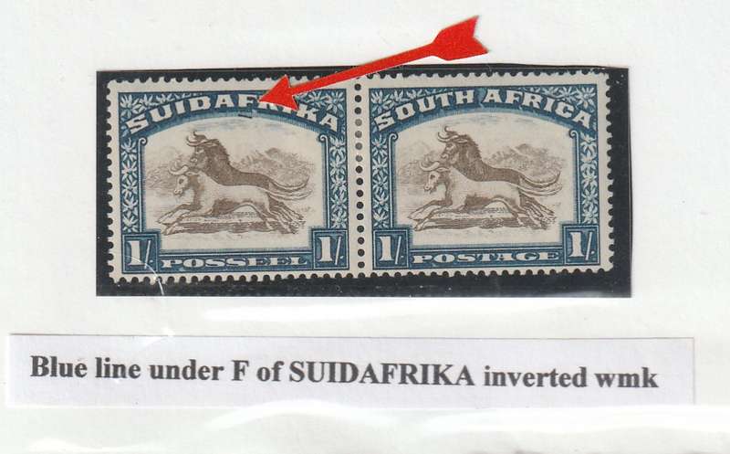 1930-45 Union of South Africa  PRETORIA ROTO  1/- BLUE LINE UNDER  F OF SUIDAFRIKA VARIETY  MM