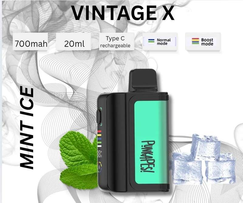 Punkapes Vintage X 10,000 Puff Dual Mode Mesh Mint Ice