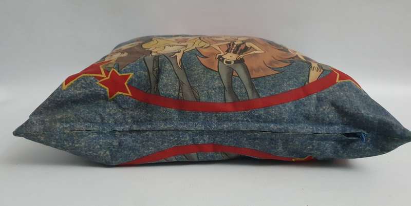 Bratz & Ninja Turtle Pillows