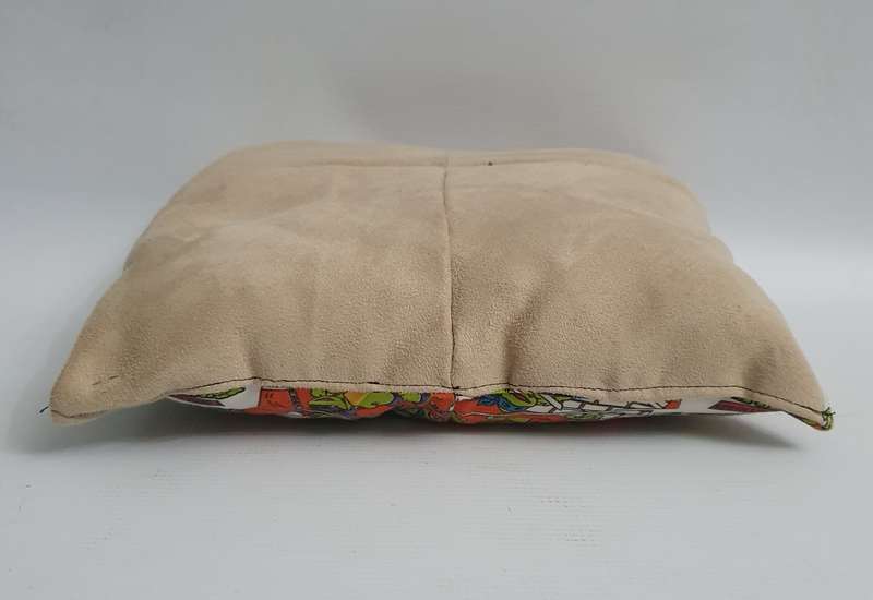 Bratz & Ninja Turtle Pillows