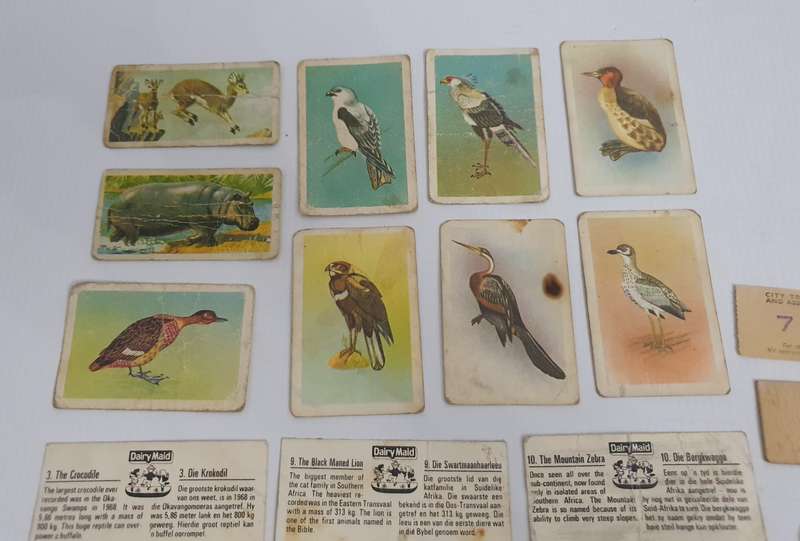 Vintage Animal Cards, Car Cards, Coupon & Tickets