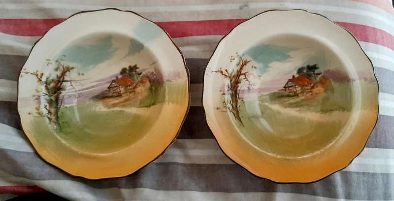 Royal Doulton plates.Ausie gumtree and English cottage series.Sam Weller Dickens bowl.All one price.