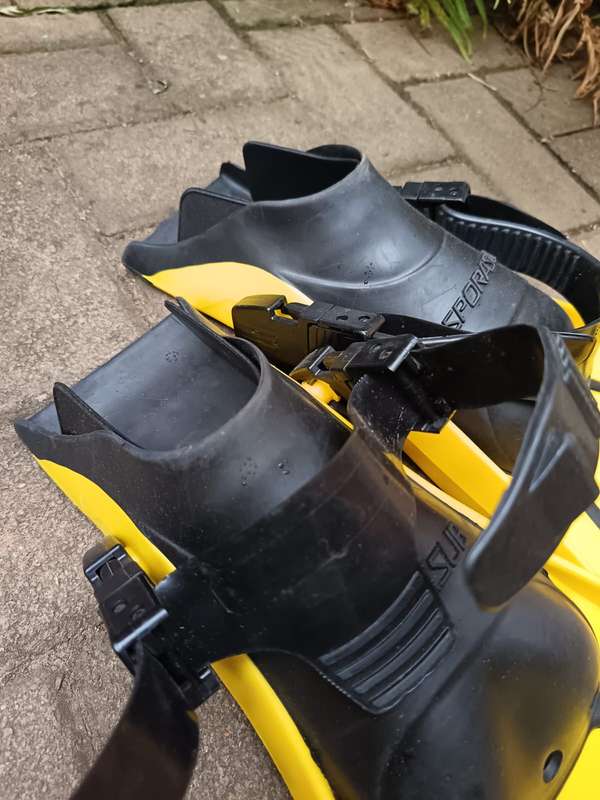 Scuba Diving Flippers
