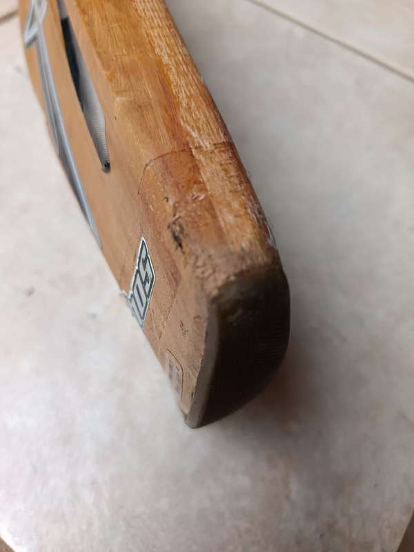 cricket bat