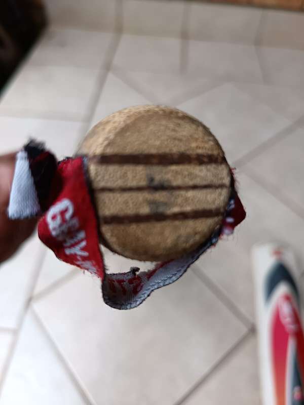 cricket bat
