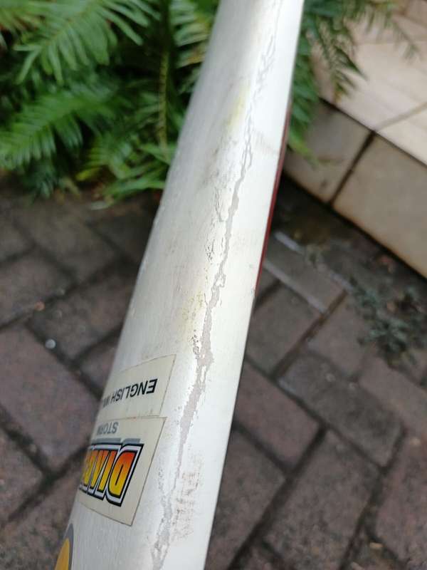 Kookaburra cricket bat