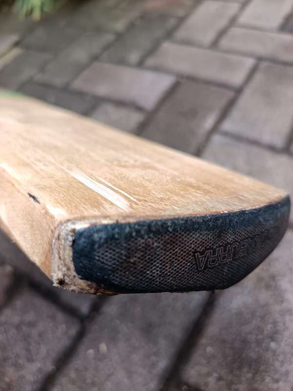 kookaburra cricket bat