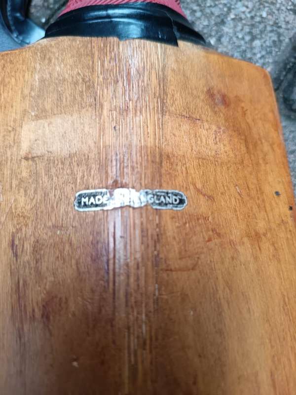 cricket bat