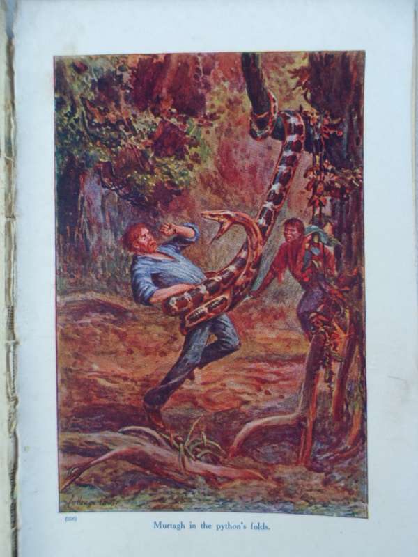 The Castaways - Captain Mayne Reid. Scarce.