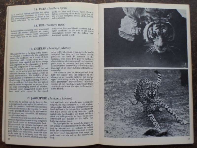 Johannesburg Zoological Gardens,  Dieretuin. 1981.
