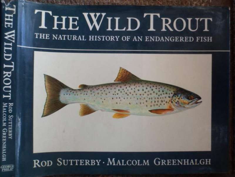 The Wild Trout. Sutterby & Greenhalgh.