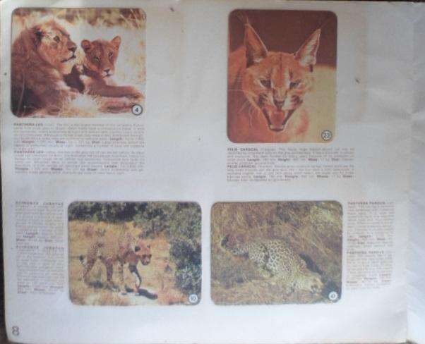 Vintage Bokomo cards album: Animals of SA Wildlife Sanctuaries. Complete. Tweetalig.