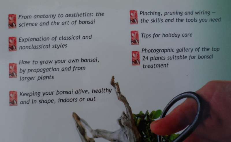 The Bonsai Handbook by David Prescot