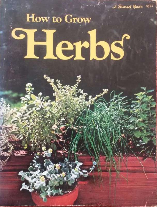 How to grow Herbs.