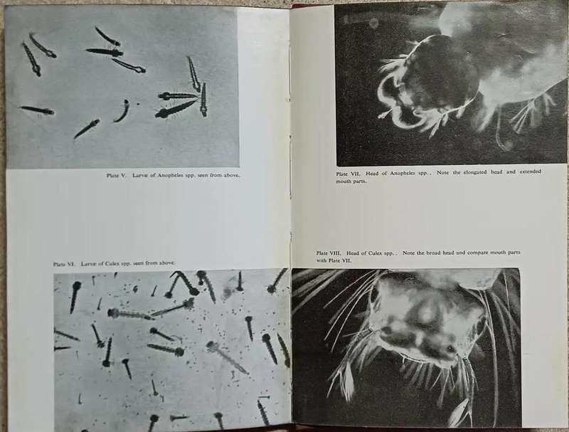 A Handbook of Malaria Control - R Svenson.