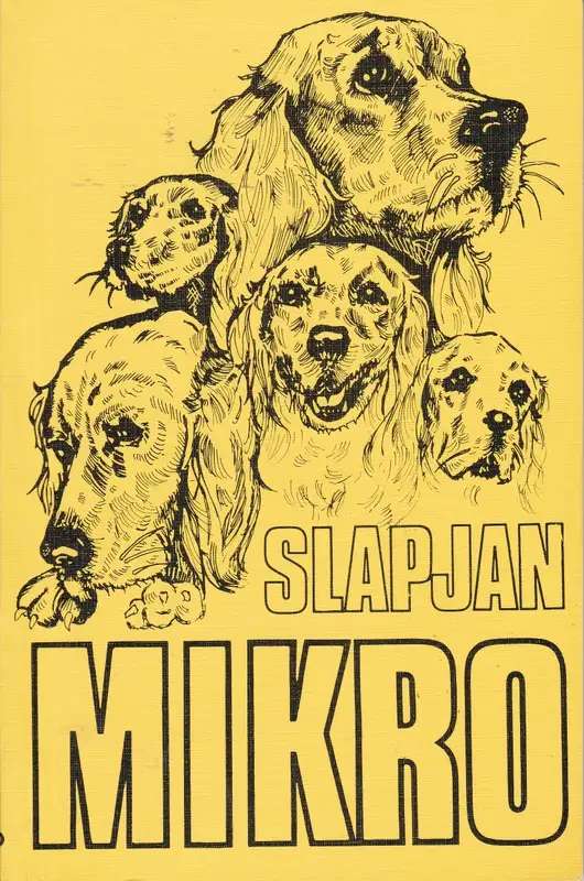 Slapjan - Mikro.