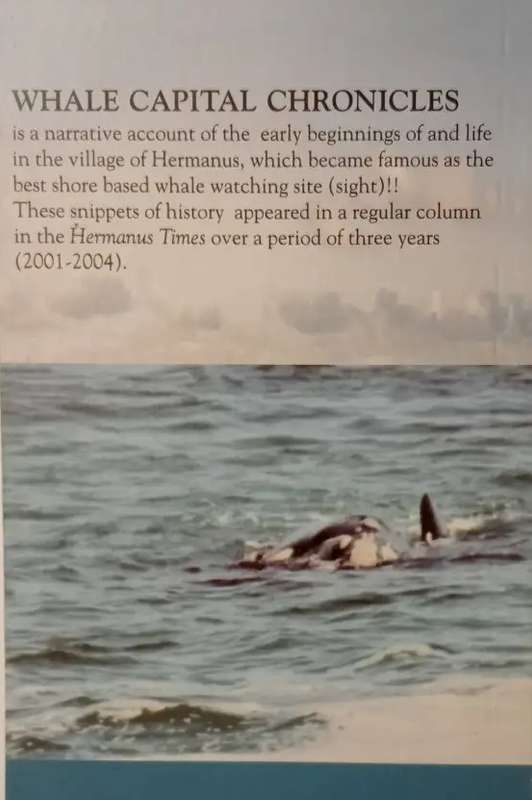 Whale Capital Chronicles 1 by SJ du Toit - Hermanus
