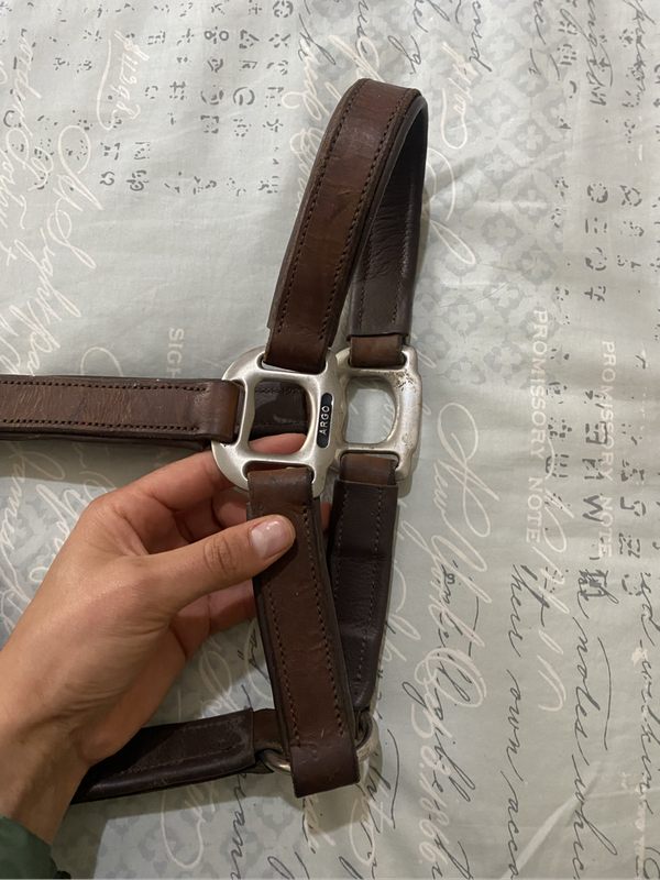 Leather halters