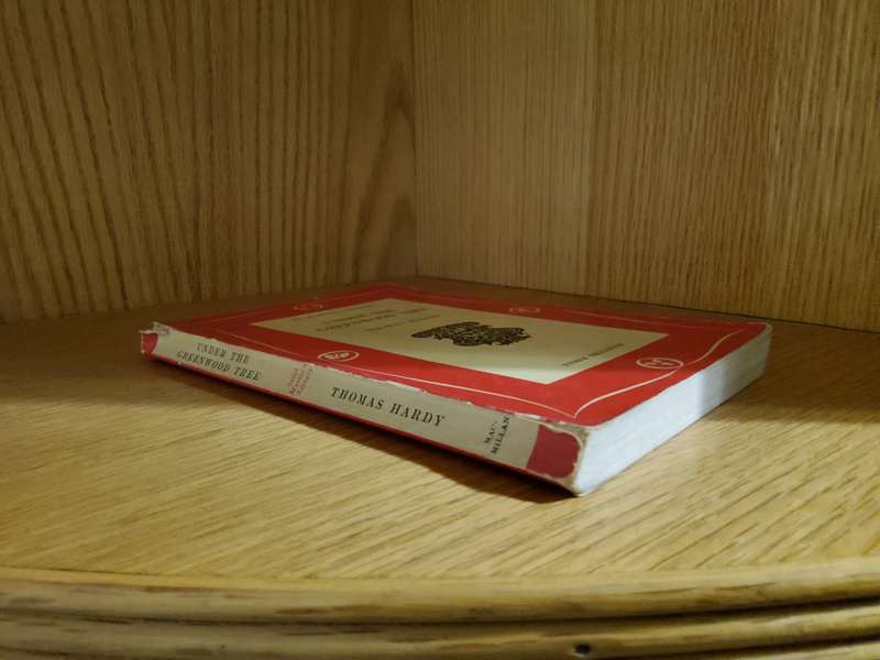 Under the Greenwood Tree by Thomas Hardy
