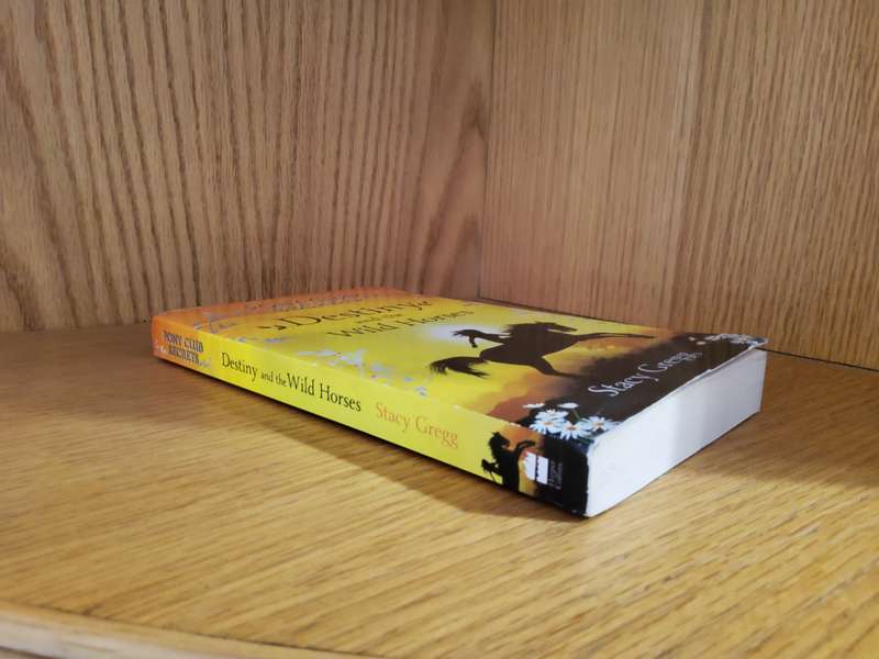 Pony Club Secrets Destiny and teh Wild Horses by Stacy Gregg