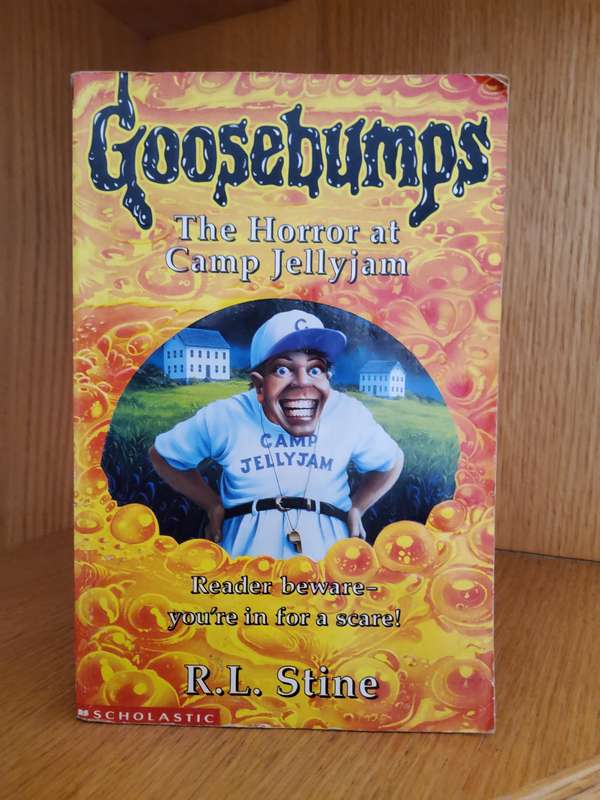 Goosebumps The Horror at Camp JellyJam by R L Stine