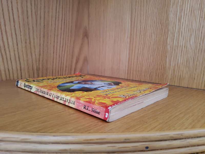 Goosebumps The Horror at Camp JellyJam by R L Stine