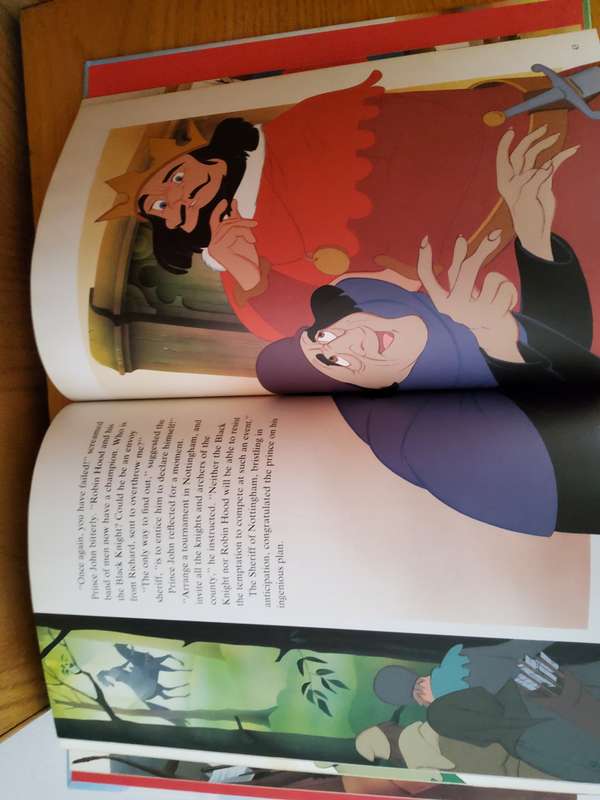Robin Hood A4 Hardcover by Van Gool