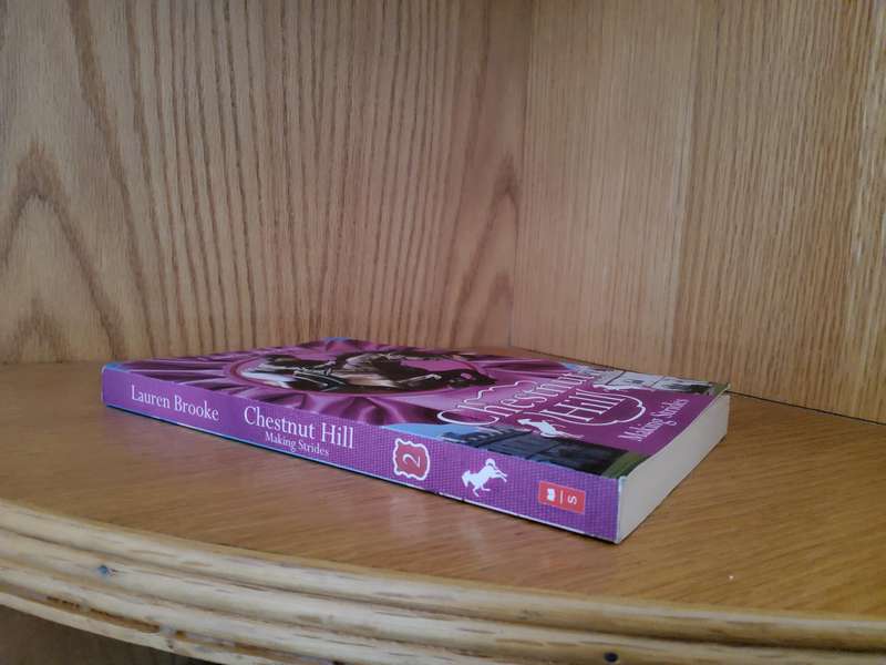 Chestnut Hill Making Strides by Lauren Brooke