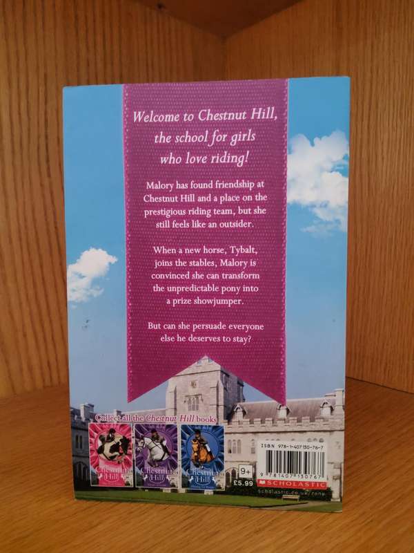 Chestnut Hill Making Strides by Lauren Brooke