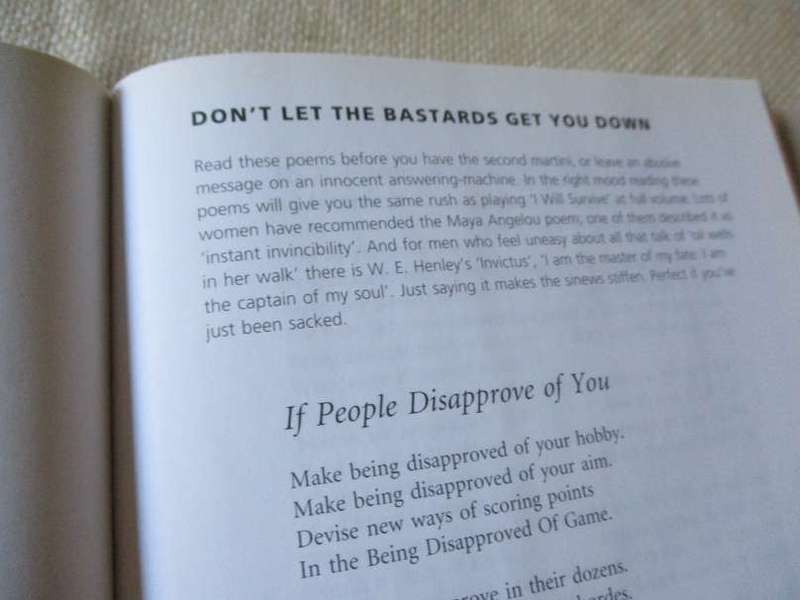 101 POEMS THAT COULD SAVE YOUR LIFE - AN ANTHOLOGY OF EMOTIONAL FIRST AID - EDITED DAISY GOODWIN