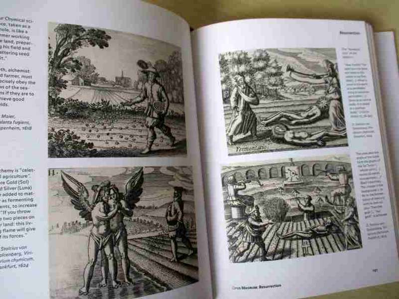ALCHEMY & MYSTICISM - THE HERMETIC MUSEUM - ALEXANDER ROOS - TASCHEN