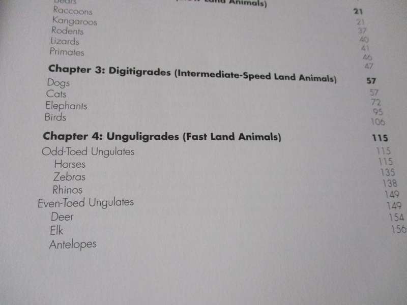 FORCE ANIMAL DRAWING - MICHAEL D MATTESI - ANIMAL LOCOMOTION AND DESIGN CONCEPTS FOR ANIMATORS