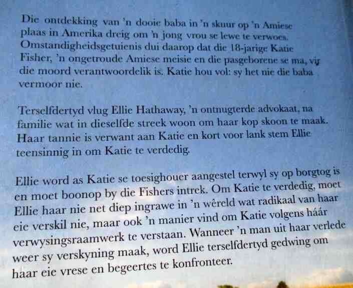 DIE BELYDENIS - JODI PICOULT