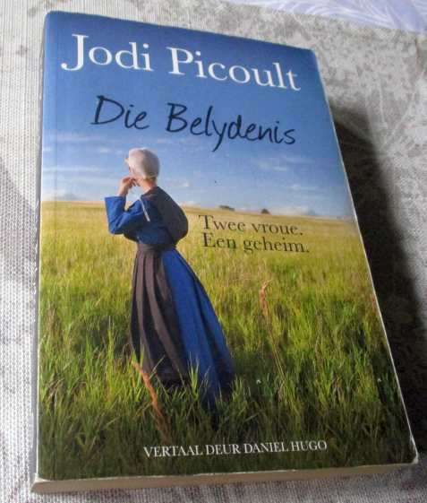DIE BELYDENIS - JODI PICOULT