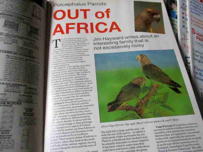 BIRDKEEPER / BIRD KEEPER MAGAZINES x 18