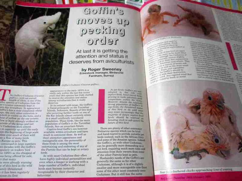 BIRDKEEPER / BIRD KEEPER MAGAZINES x 18
